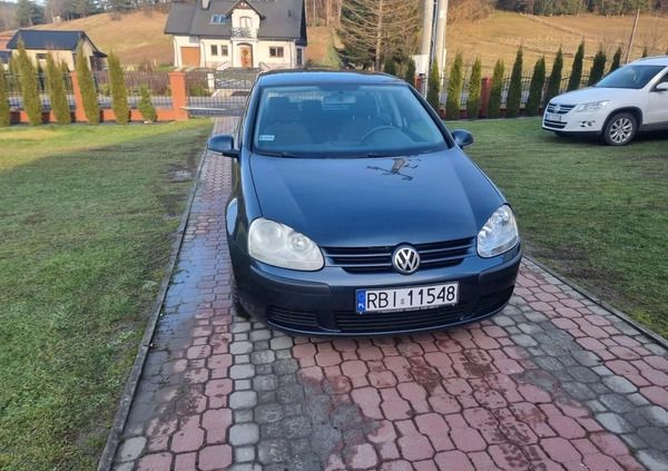 Volkswagen Golf cena 13000 przebieg: 221680, rok produkcji 2005 z Węgliniec małe 46